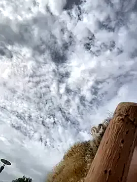 AmyBelmontt – webcam model profile photo Image 14