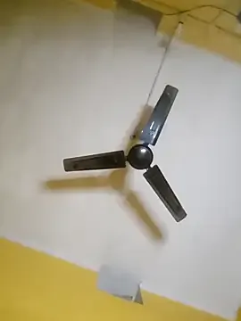 PaulinaKorven – webcam model profile photo Image 8