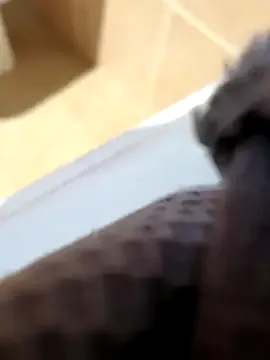 Lia_Brooks – webcam model profile photo Image 2