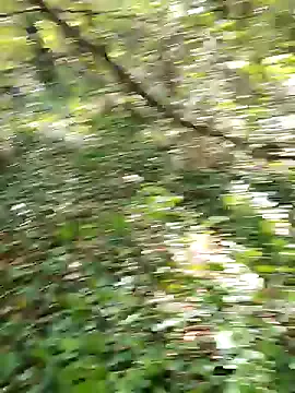 Anniee_Gray – webcam model profile photo Image 16