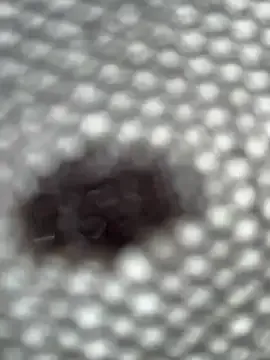 CassieGil – webcam model profile photo Image 14