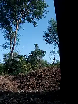 CassieGil – webcam model profile photo Image 13