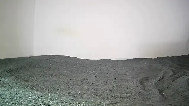 AgostinaNunierX – webcam model profile photo Image 5