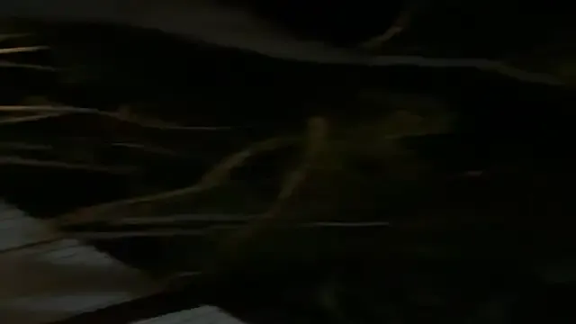 DannaBash – webcam model profile photo Image 17