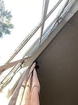 SophieBlaake – webcam model profile photo Image 8