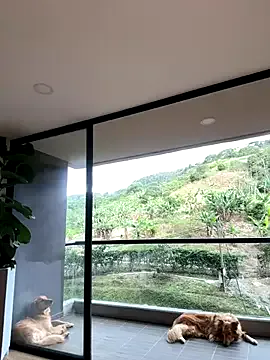 LadyRochester – webcam model profile photo Image 13