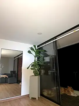 LadyRochester – webcam model profile photo Image 14