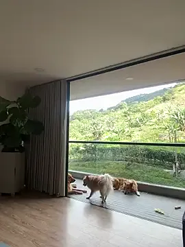 LadyRochester – webcam model profile photo Image 18