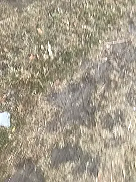 ChloeeGill – webcam model profile photo Image 6