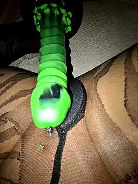 GreciaMorgan – webcam model profile photo Image 9