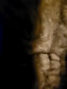 SilviaPastori – webcam model profile photo Image 9