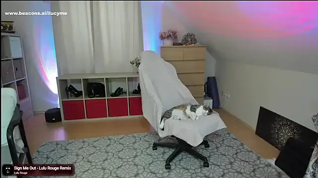 AmyBelmontt – webcam model profile photo Image 5