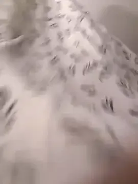 GianaBravo – webcam model profile photo Image 16