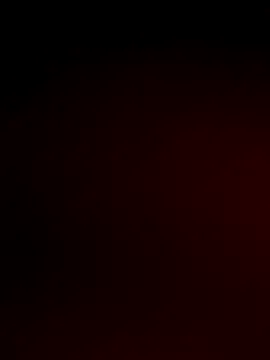 AnaCollin – webcam model profile photo Image 10