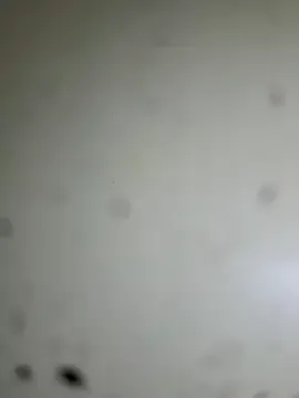 AmyBelmontt – webcam model profile photo Image 15