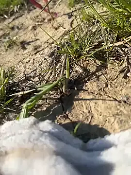 CelesteCoquette – webcam model profile photo Image 3