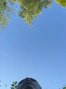 HanniRoss – webcam model profile photo Image 6