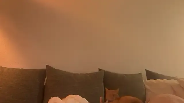 Rachell_More – webcam model profile photo Image 7