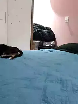 EmiilyAdams_ – webcam model profile photo Image 7