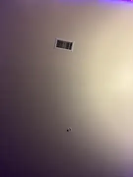 bustytemptress1 – webcam model profile photo Image 15