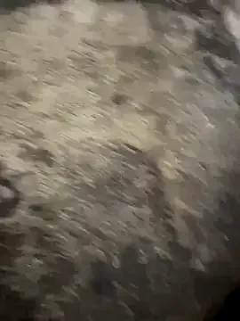 TaraHunter – webcam model profile photo Image 5