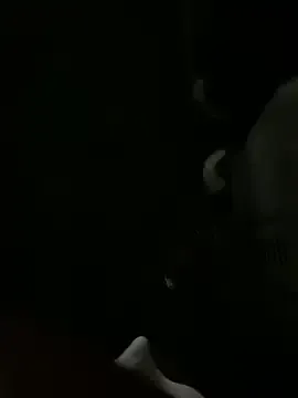 Ginebra_Belucci – webcam model profile photo Image 2