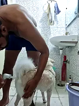 AvaMaddisson – webcam model profile photo Image 9