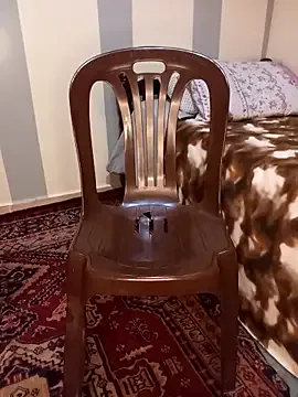 AnitaVega – webcam model profile photo Image 10