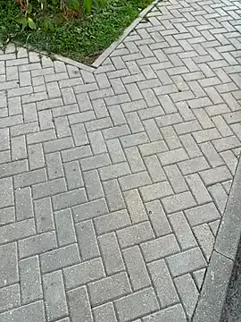 AnneRusel – webcam model profile photo Image 18