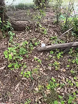 TamilDark – webcam model profile photo