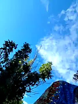 bathory_vamps – webcam model profile photo Image 17