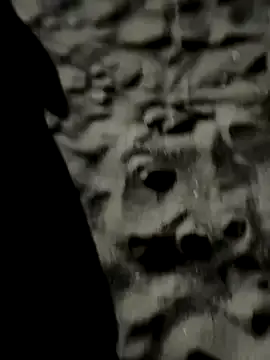 GreciaMorgan – webcam model profile photo Image 12