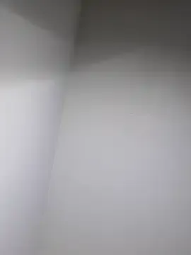 FernandaCorrales – webcam model profile photo Image 18